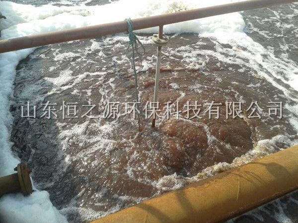 宁波龙欣化工旋流曝气器现场.jpg